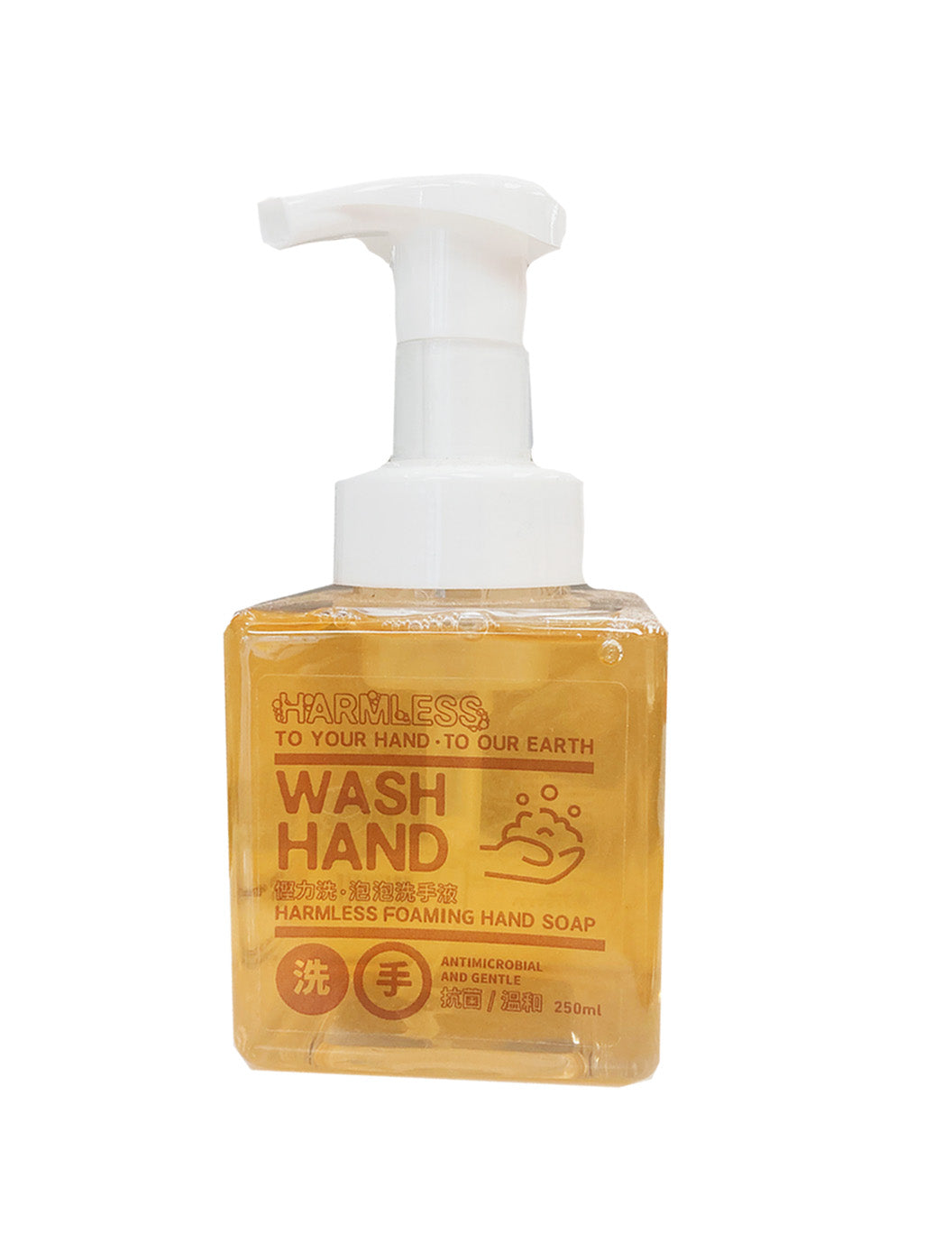 Foaming Hand Soap