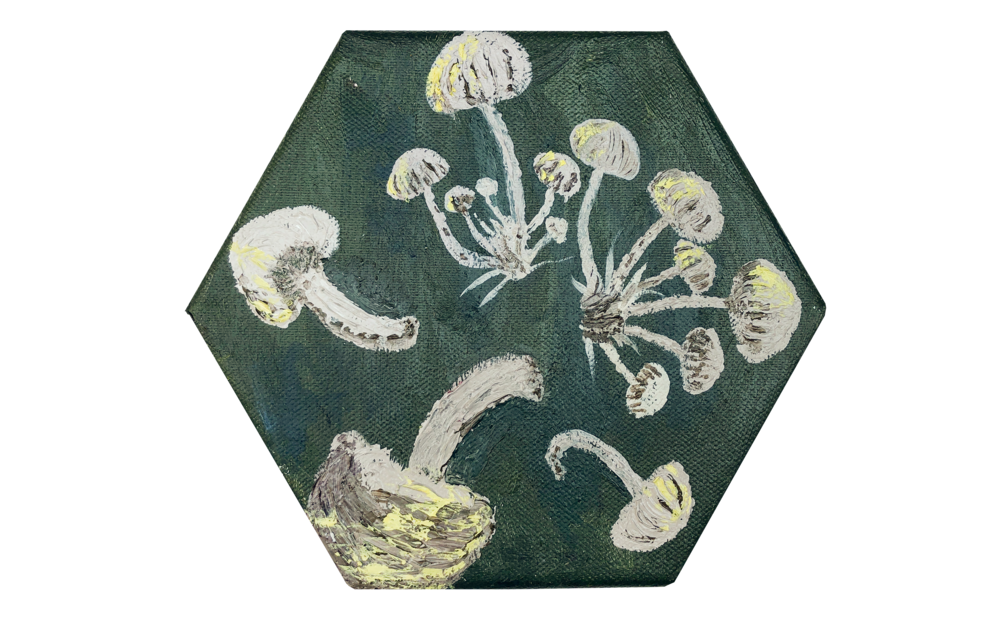 Beeswax Wrap