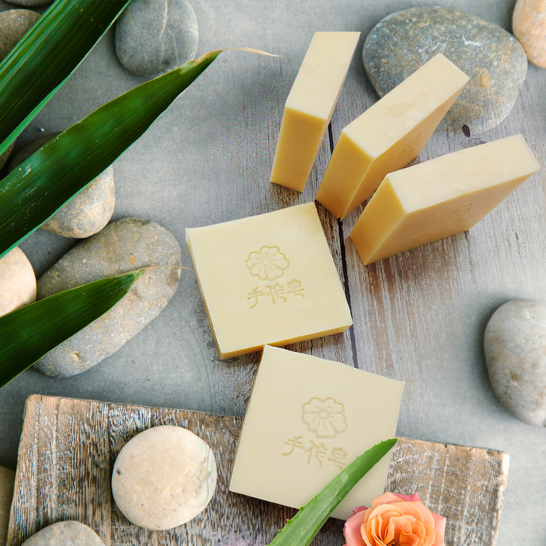 Camellia and Aloe Vera Soap (2 In 1 Hair + Body Wash) - BuyNGO HK