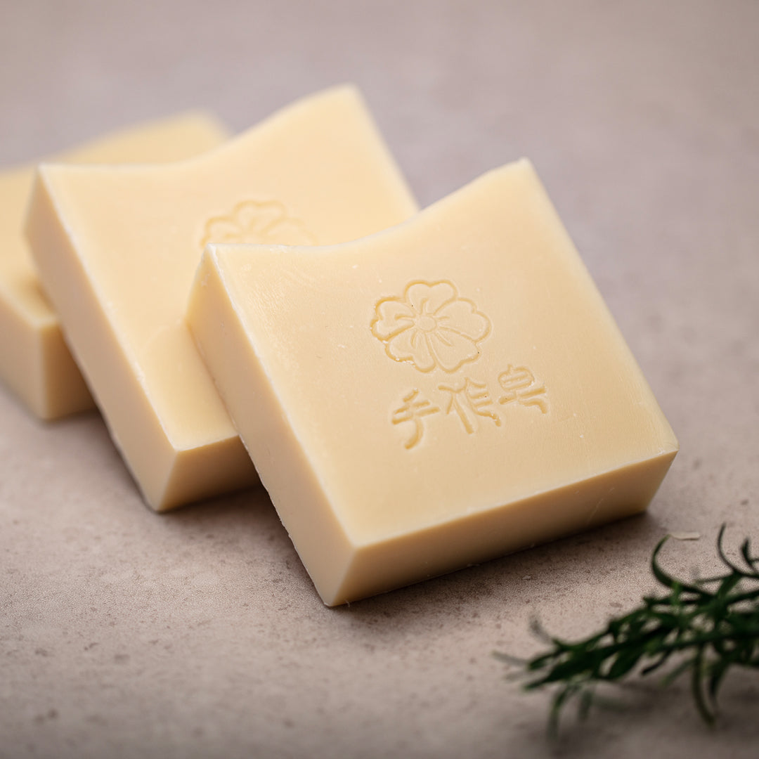 Camellia and Aloe Vera Soap (2 In 1 Hair + Body Wash) - BuyNGO HK