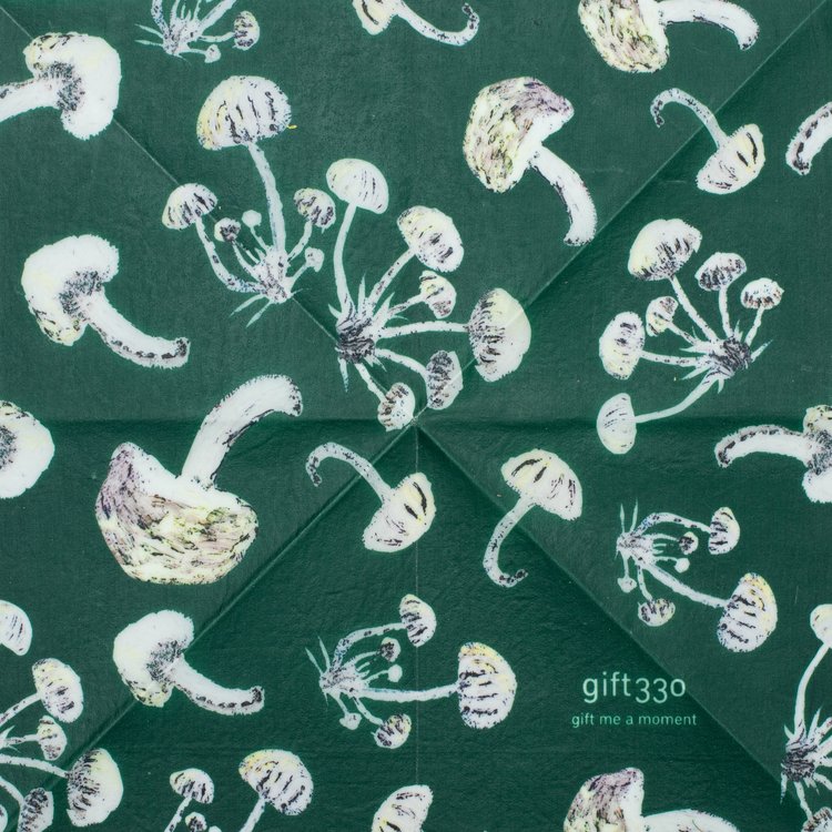 Beeswax Wrap