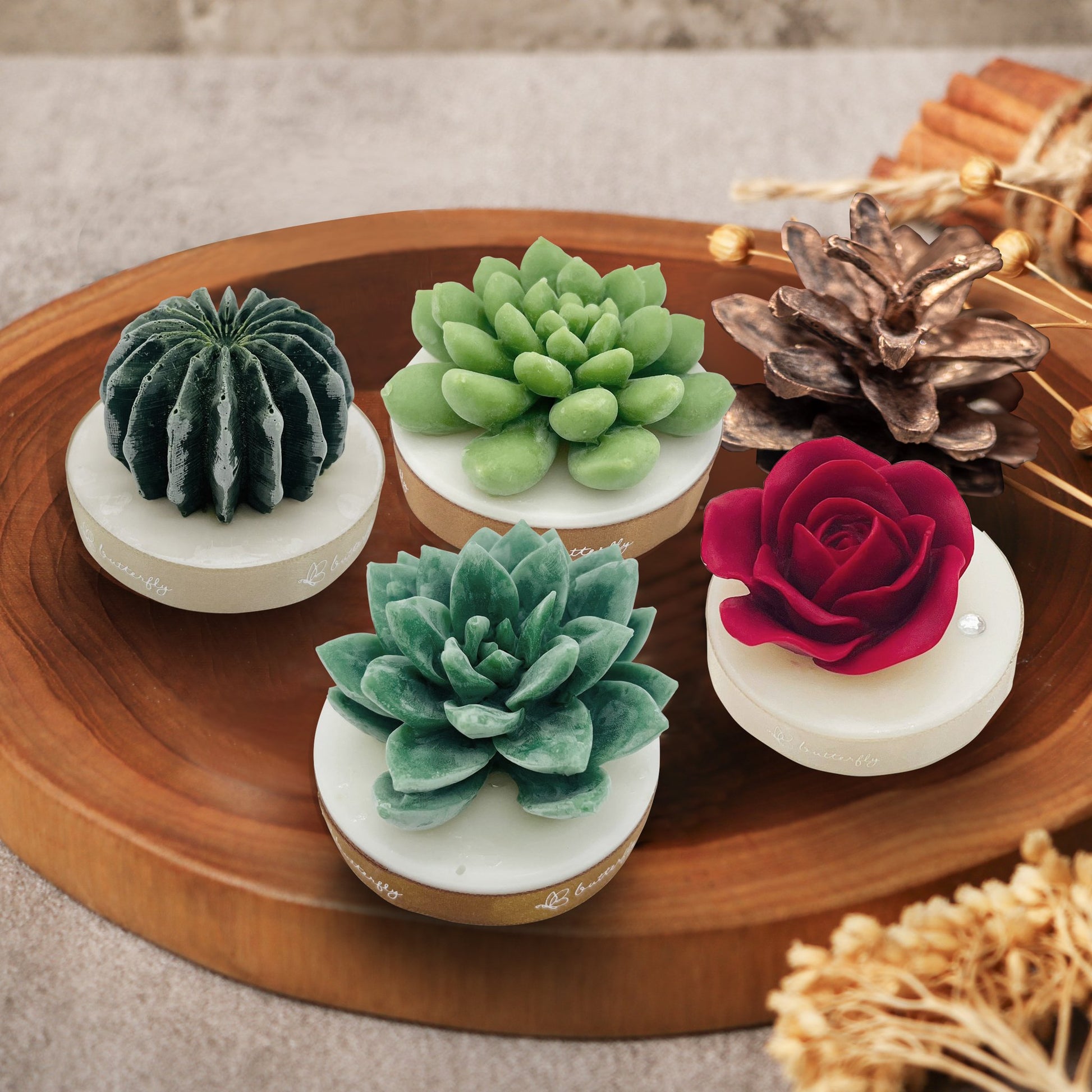 Cactus Fragrance Brick - 2