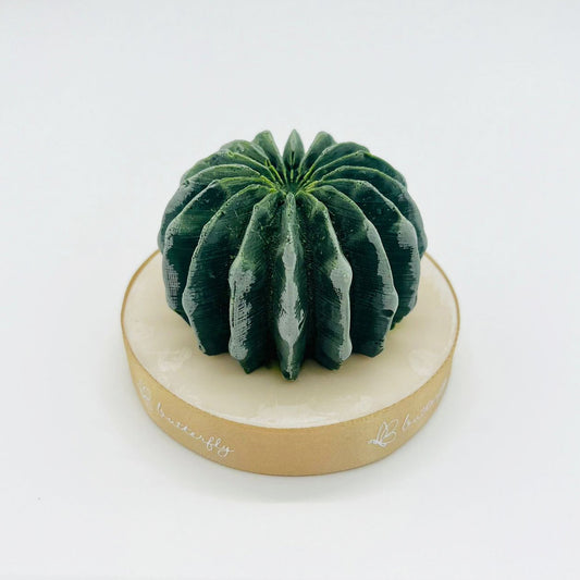 Cactus Fragrance Brick - 1