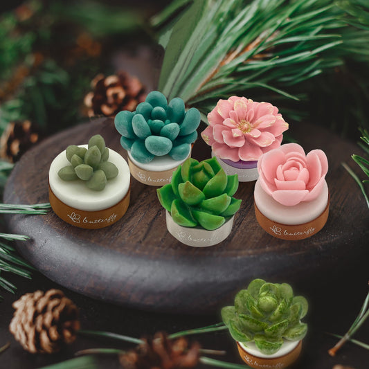 Succulent Plant Fragrance Brick (S) - 1