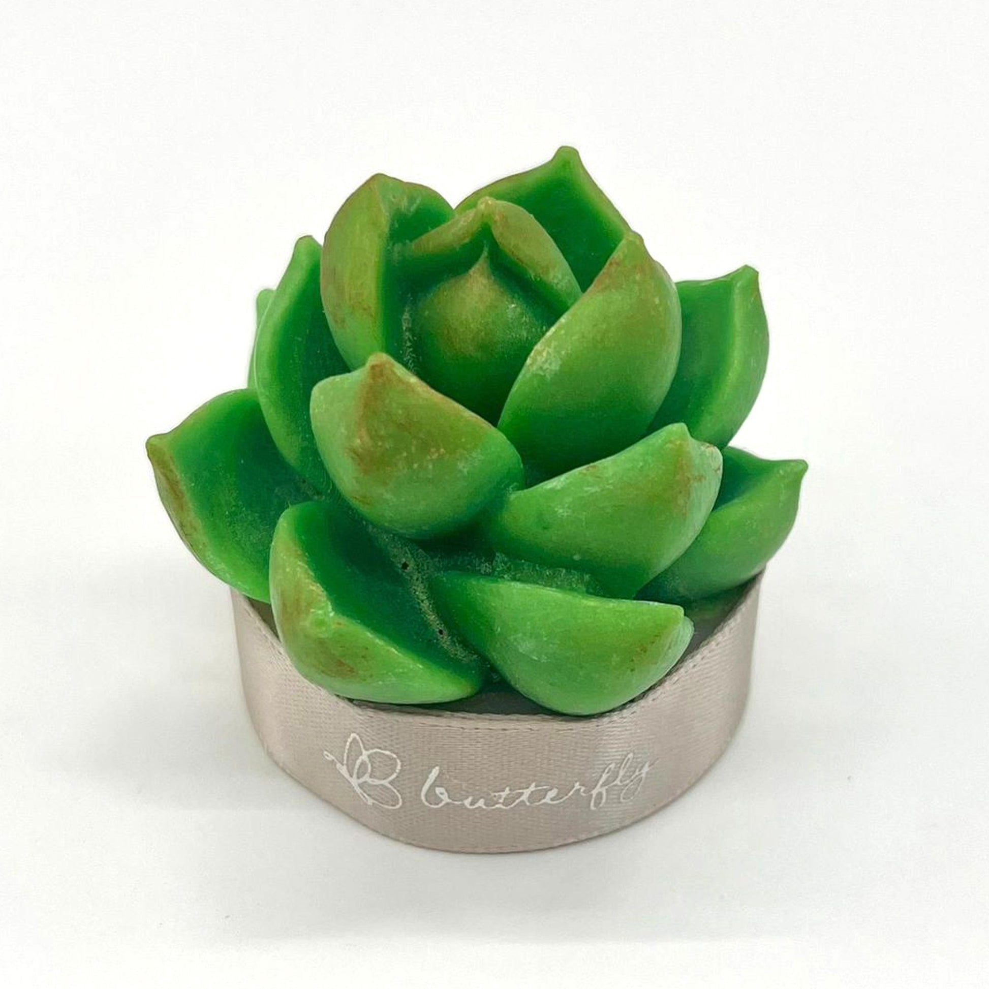 Succulent Plant Fragrance Brick (S) - 3