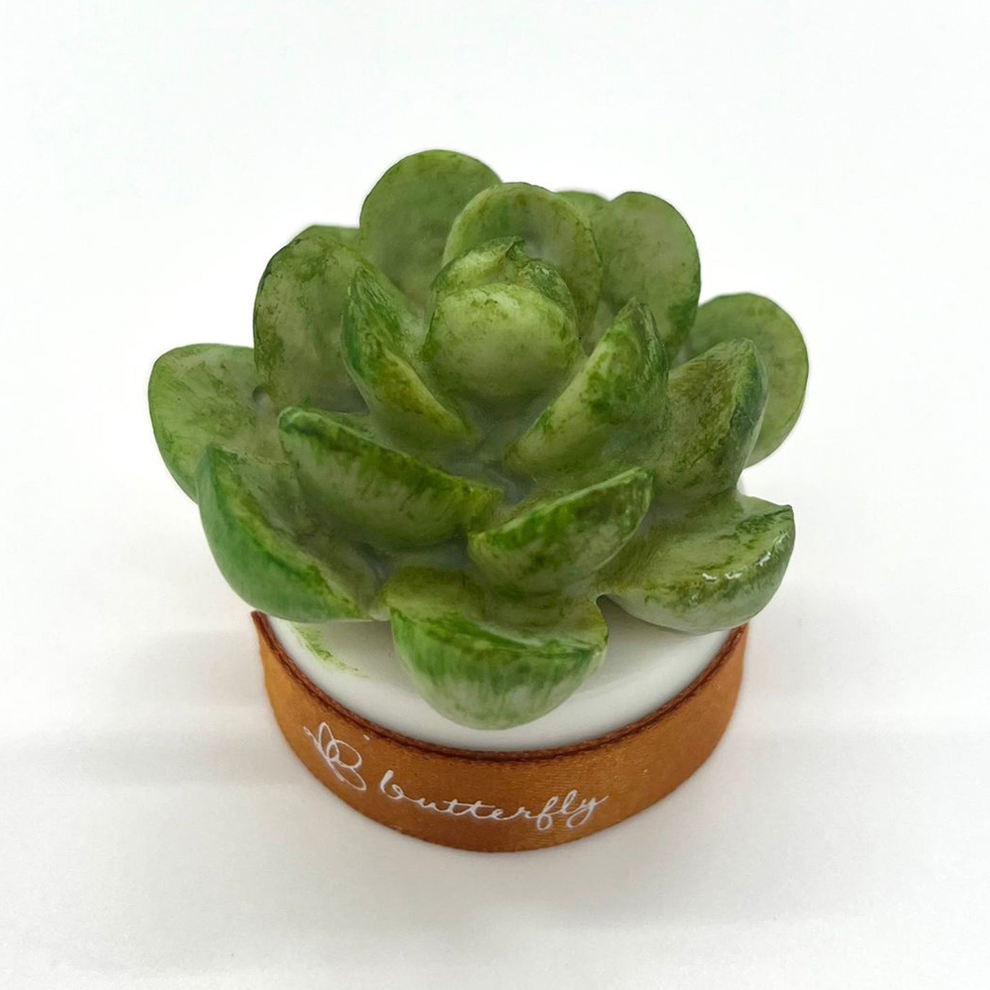Succulent Plant Fragrance Brick (S) - 4