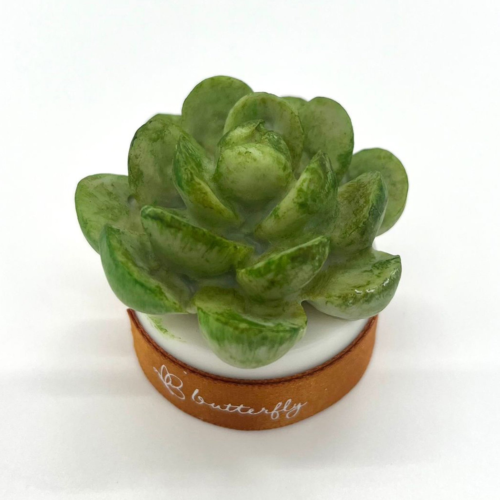 Succulent Plant Fragrance Brick (S) - 4