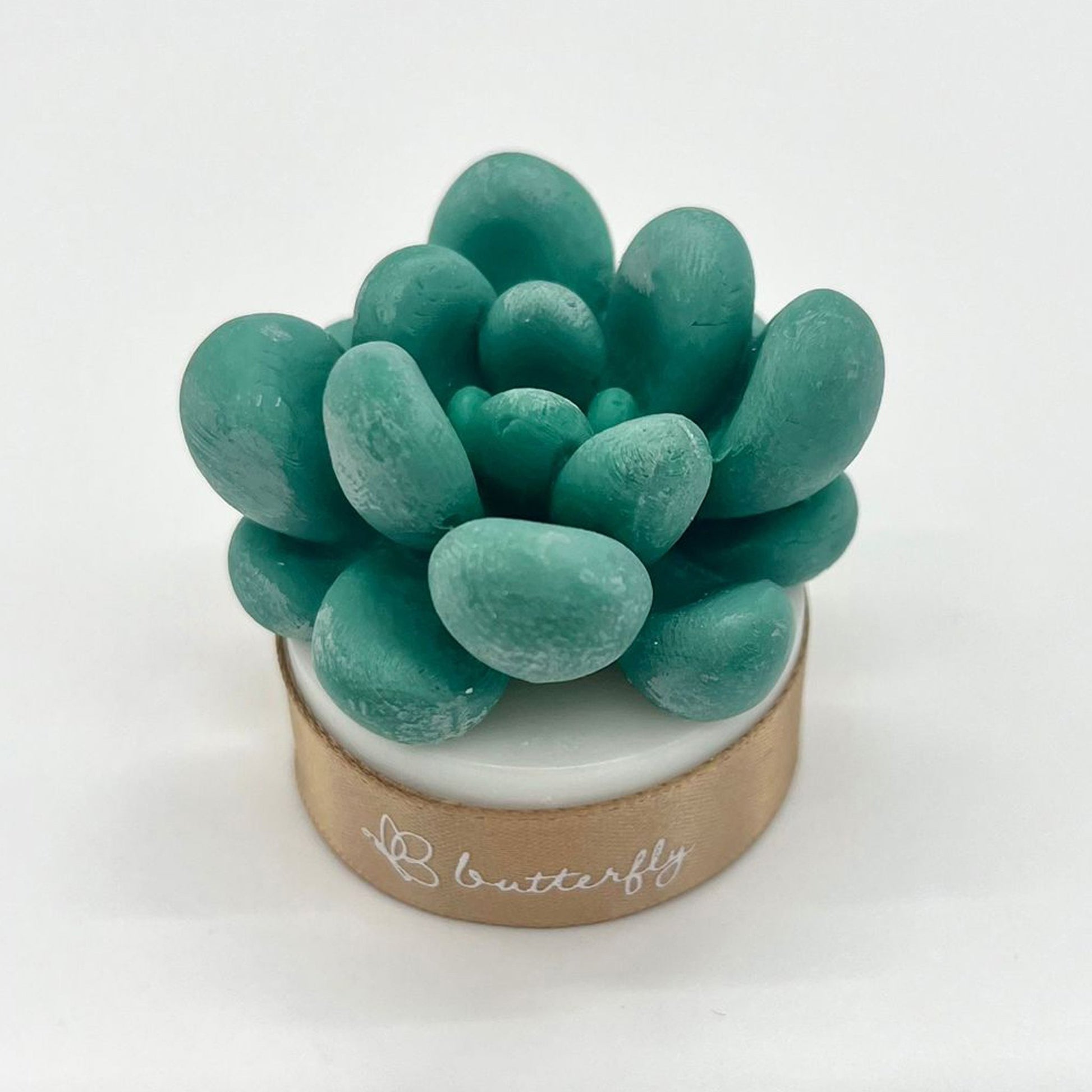 Succulent Plant Fragrance Brick (S) - 2