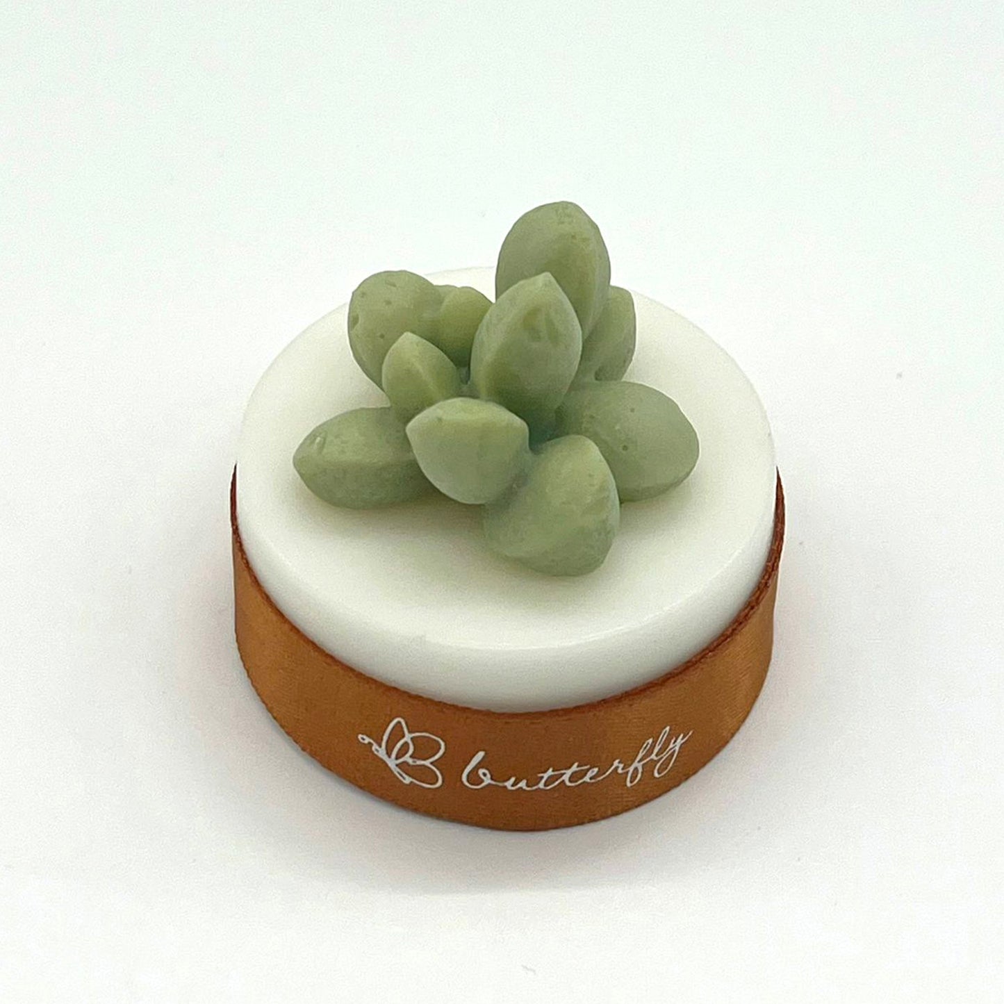 Succulent Plant Fragrance Brick (S) - 5