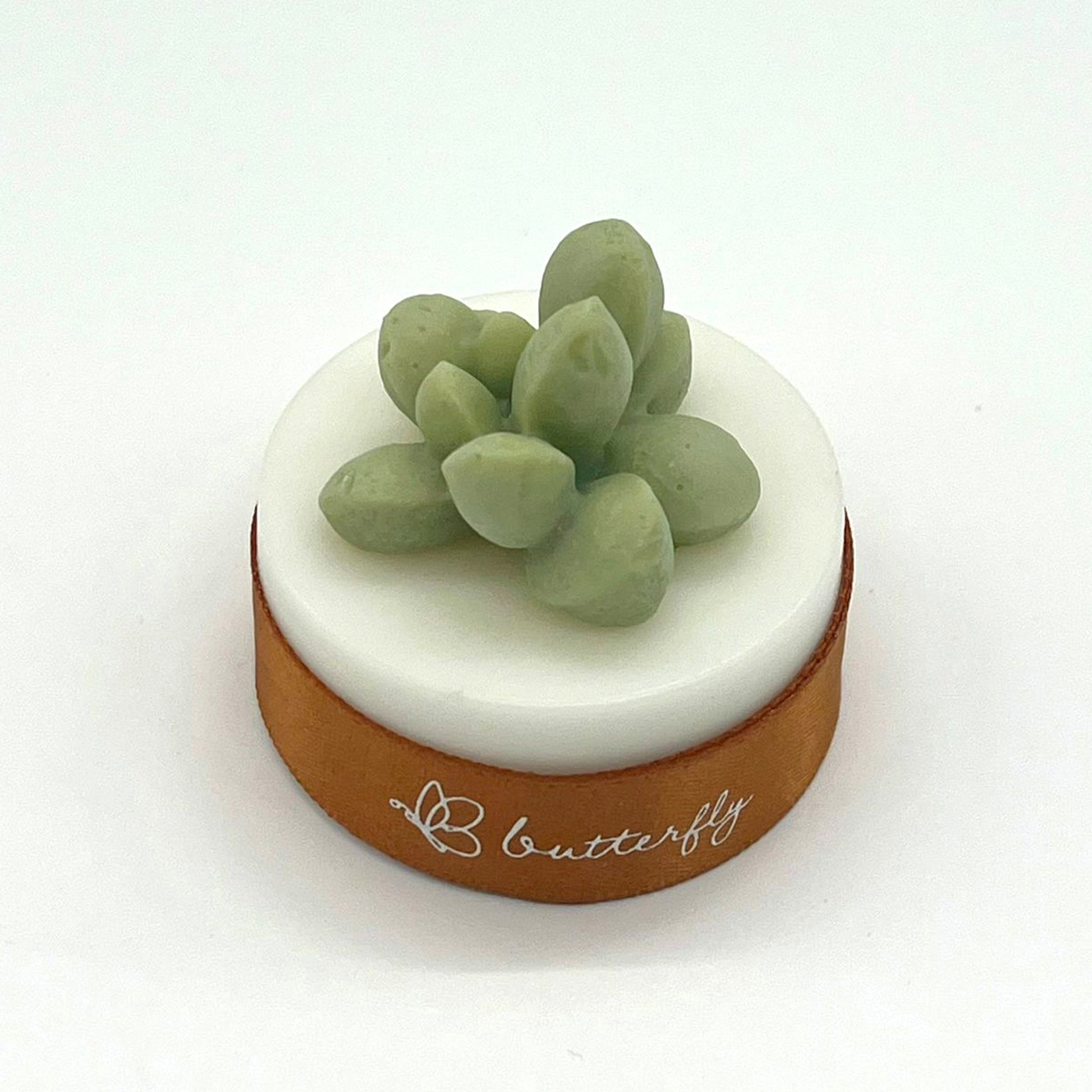 Succulent Plant Fragrance Brick (S) - 5