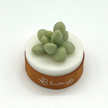 Succulent Plant Fragrance Brick (S) - 5