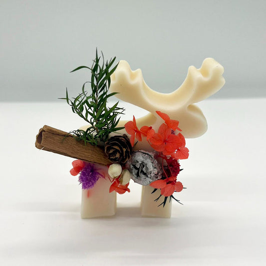 Reindeer Preserved Flowers - 2