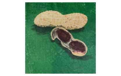 Peanut 5 Artist: Wong Kai Lin  Year: 2019  Medium: Acrylic  Size: 37cm (W) x 37cm (H)