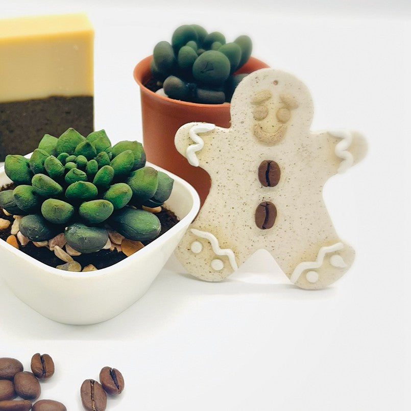 Coffee Grounds × Succulent Aroma Brick Workshop