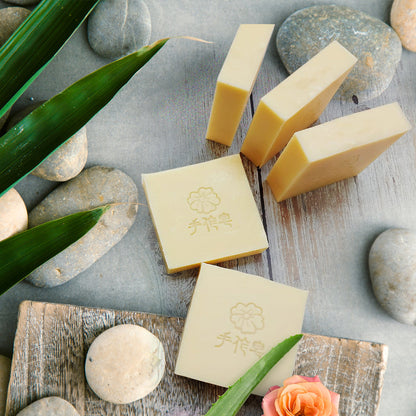 Camellia and Aloe Vera Soap (2 In 1 Hair + Body Wash) - BuyNGO HK
